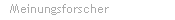 meinungsforscher