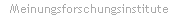 meinungsforschungsinstitut