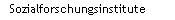 sozialforschungsinstitut